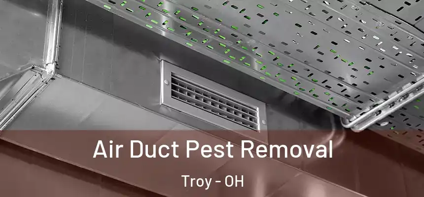  Air Duct Pest Removal Troy - OH