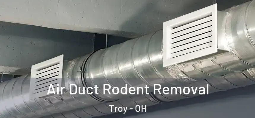  Air Duct Rodent Removal Troy - OH
