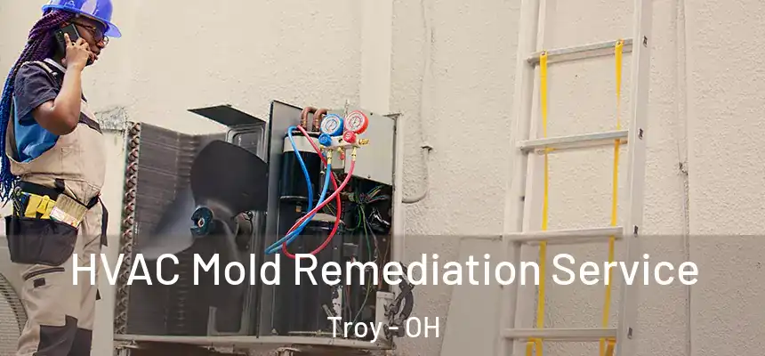  HVAC Mold Remediation Service Troy - OH