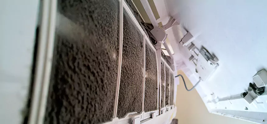 Preventive Air Duct Bacteria Removal in Troy