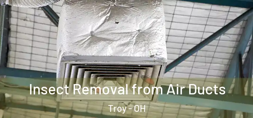 Insect Removal from Air Ducts Troy - OH