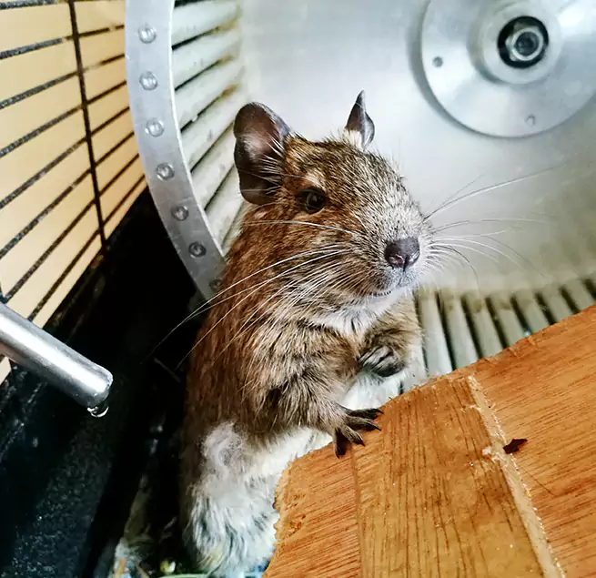 Why Homeowners & Businesses Trust Us Troy, OH?